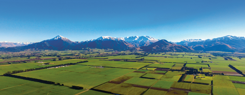 PGG Wrightson Websites